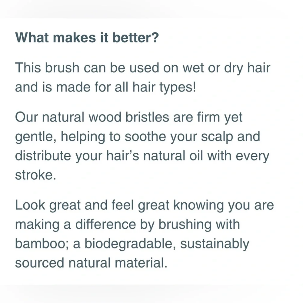 SUGAR BEAR BRUSH